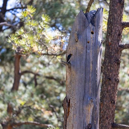 Ruidoso Lodge Cabin # 9 Exteriör bild